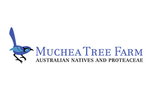 Logo Muchea Tree Farm