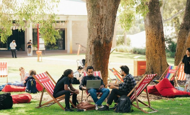 A group of Murdoch students studying outside on deck chairs in Bush Court