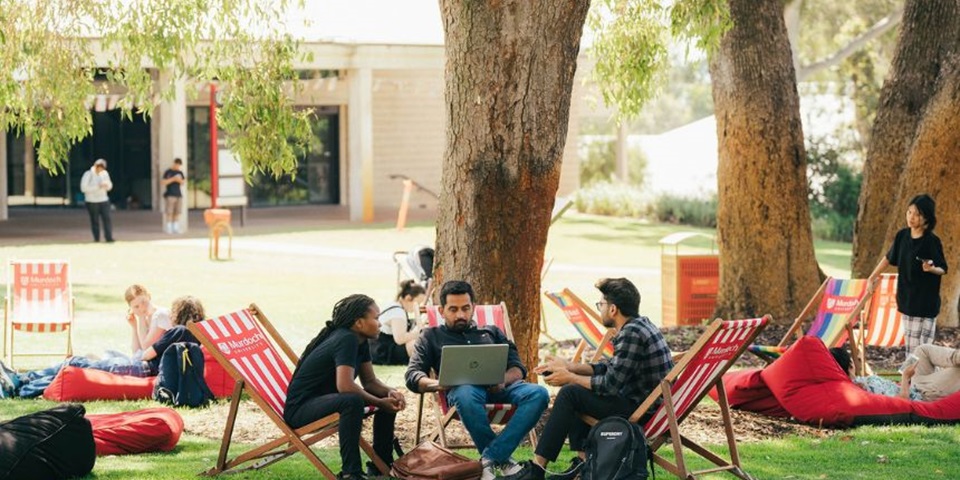 A group of Murdoch students studying outside on deck chairs in Bush Court