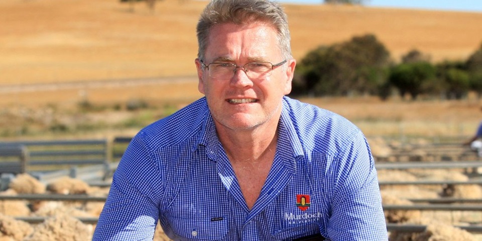 Dr Andrew Thompson standing in sheep yard