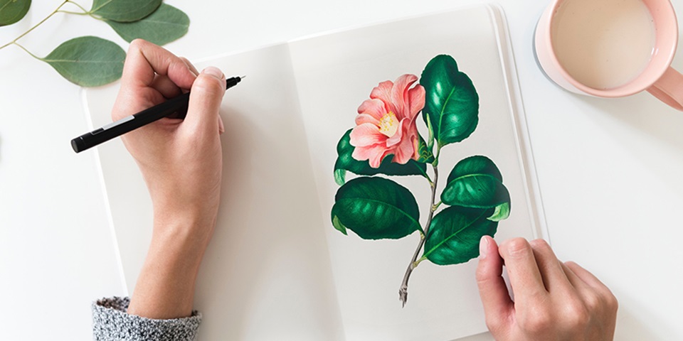 Bird's eye view of a person drawing a flower