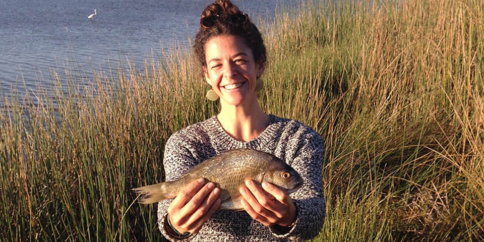 Bream research feature