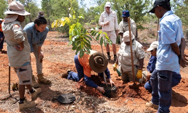 PhD student Sara Cavalcanti Marques planting kakadu plums on the revegetation project with Traditional Landowners near Broome.