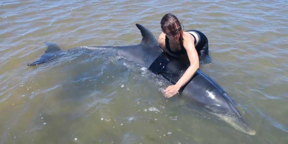 brunette in water hugging dolphin