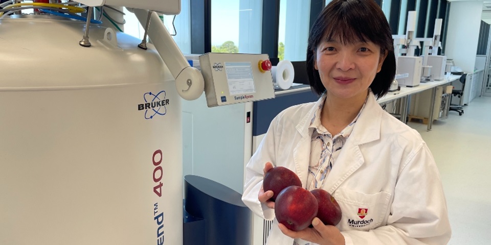 Female scientist in white lab coat standing in laboratory holding three red apples