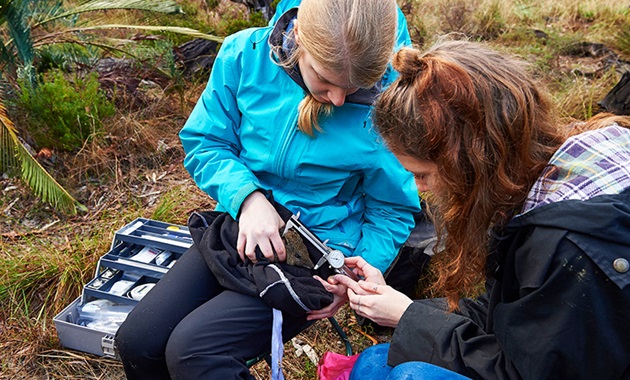 Environmental science students working in the field.