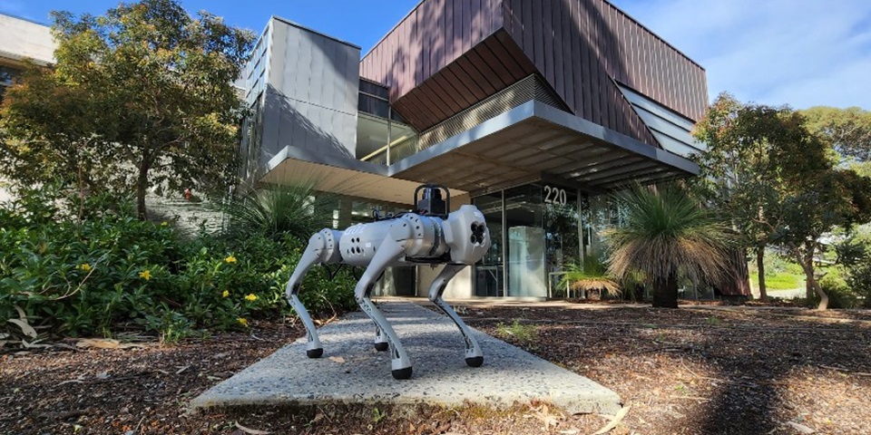 Dwert the robot dog outside the Engineering building at Murdoch University