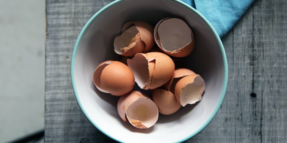 eggshells in bowl