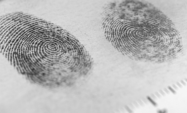 fingerprints on paper in investigation