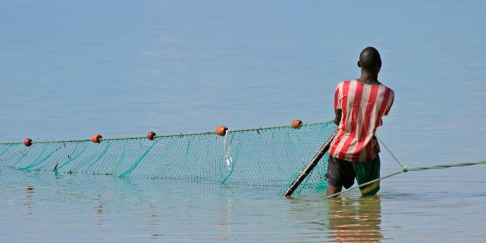 Fisherman pulling his net in Mozambique