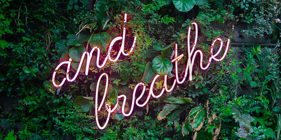 Pink neon sign saying 'and breath' on a plant wall