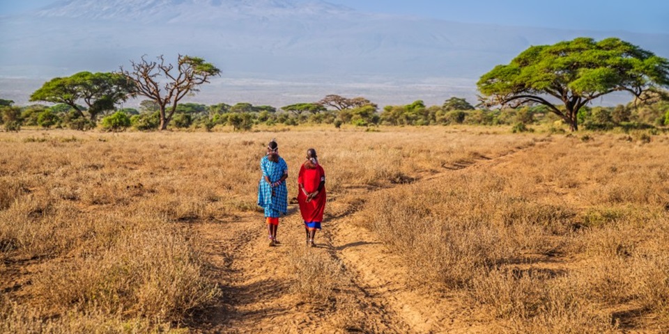 Maasai women crossing the savannah