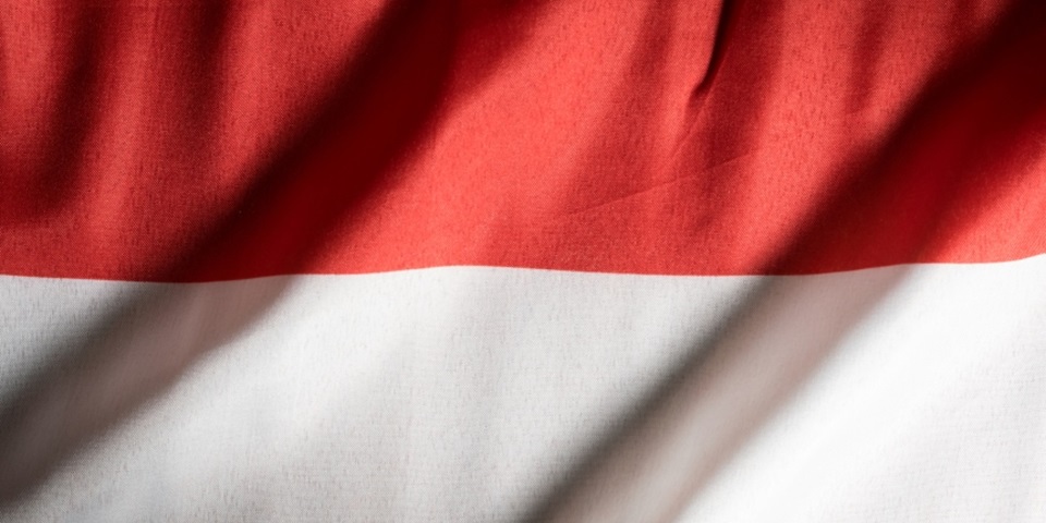 Indonesian flag