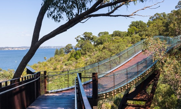 Picture of walking trail in Kings Park