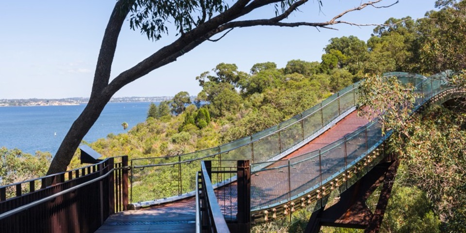 Picture of walking trail in Kings Park