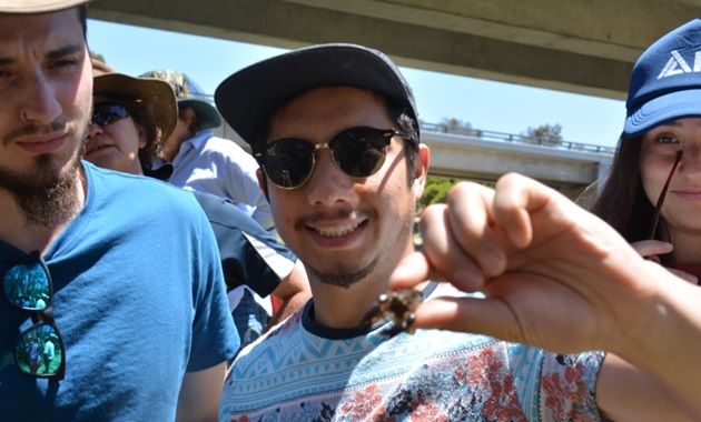 Man holding a smooth marron