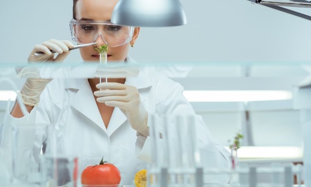 Food scientist inspects food sample test tube in a lab