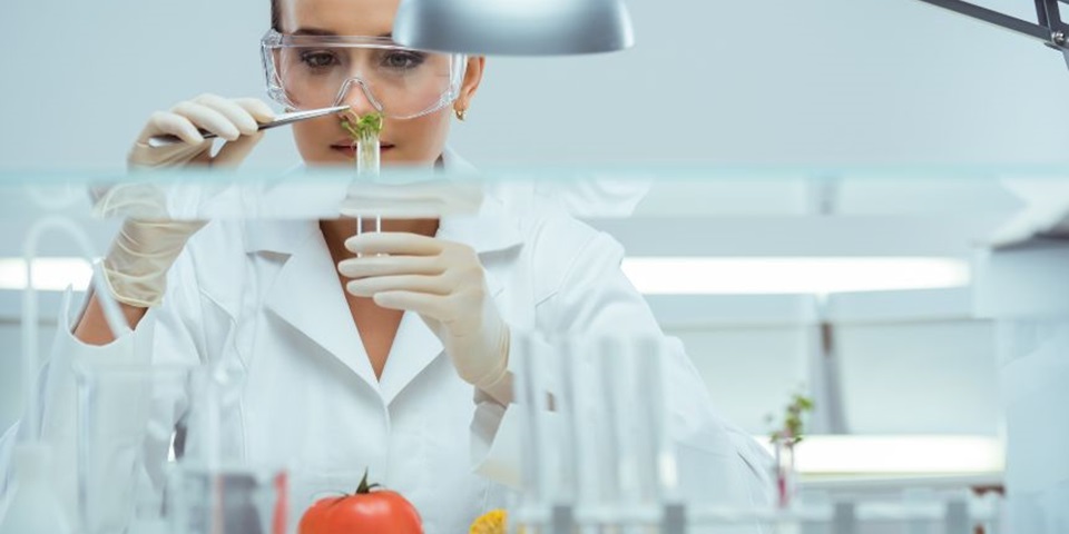 Food scientist inspects food sample test tube in a lab