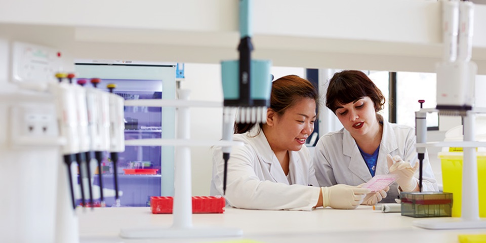 Two students work together in a lab.