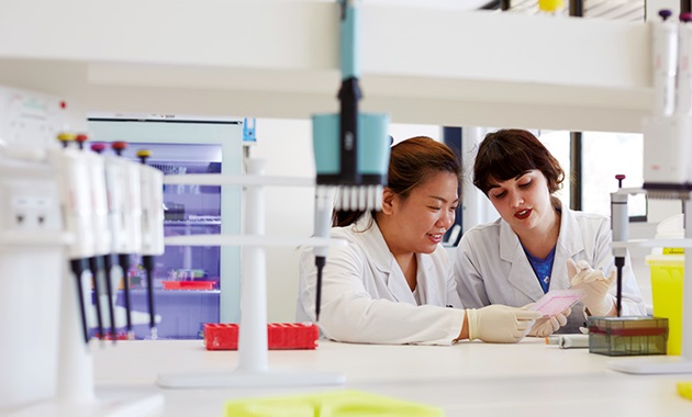 Students working in a lab