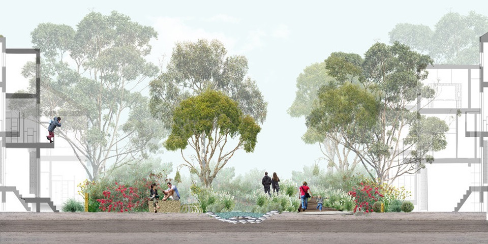 Nature sensitive urban design. Image - Zoe Myers, Australian Urban Design Research Centre, UWA