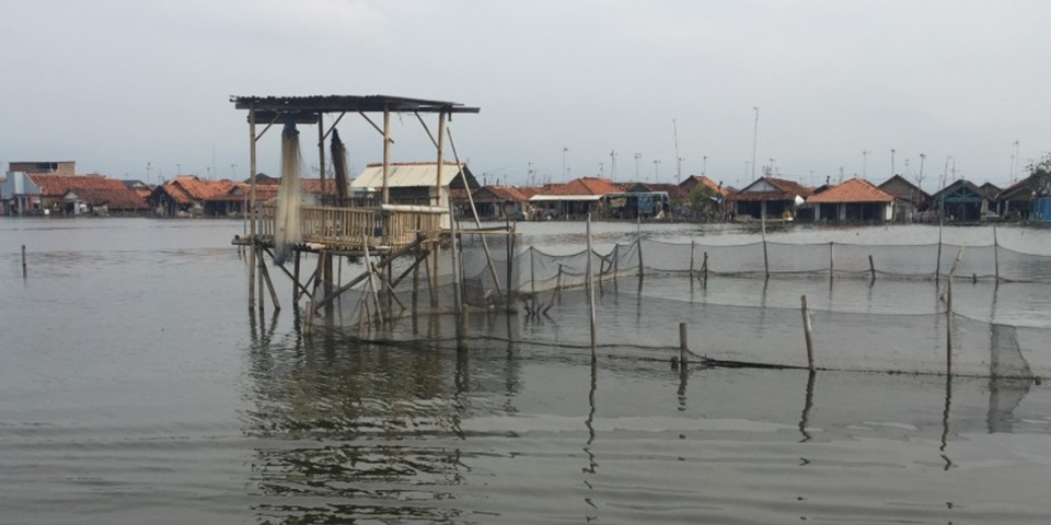 Rice paddies and homes are under water in Pekalongan City