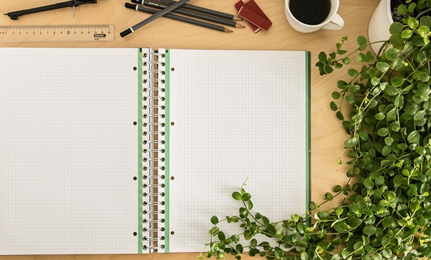 Notebook with ruler and plant