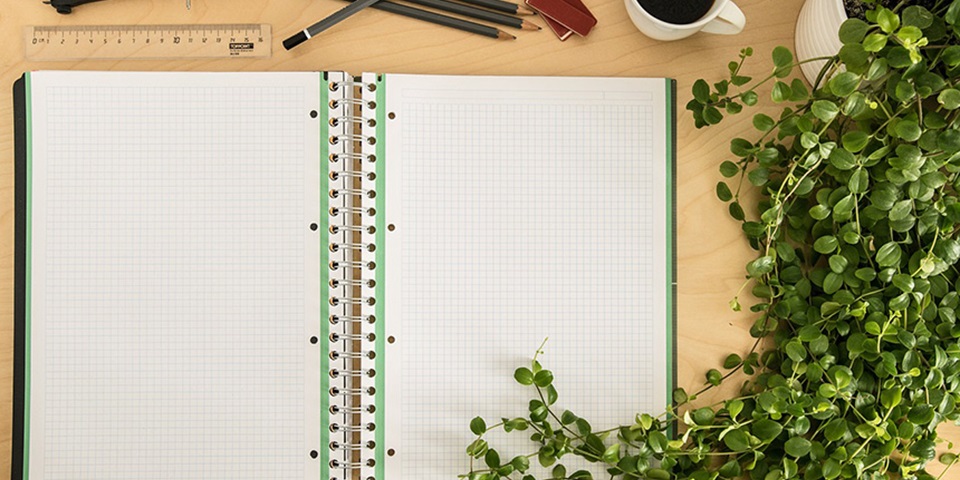 Notebook with ruler and plant