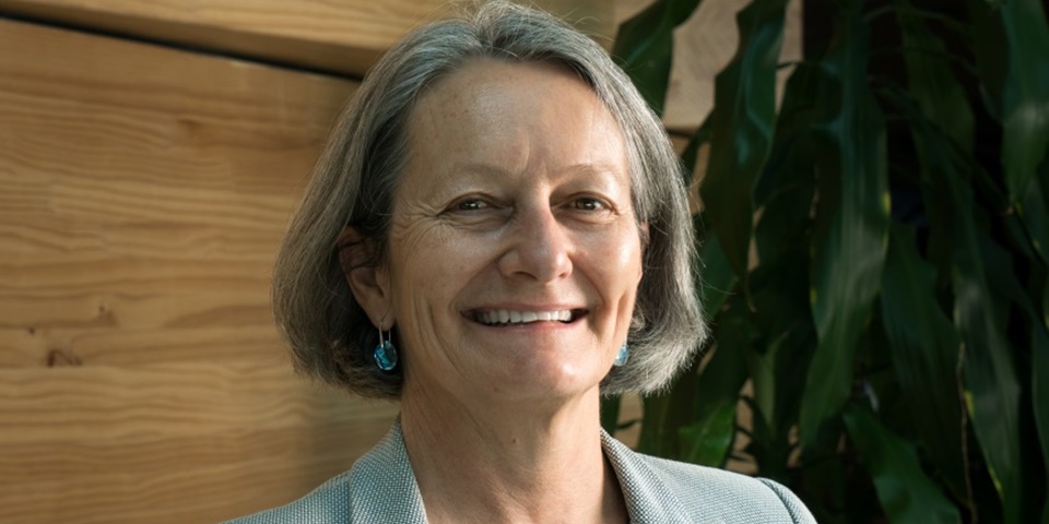 Professor Tracy Taylor