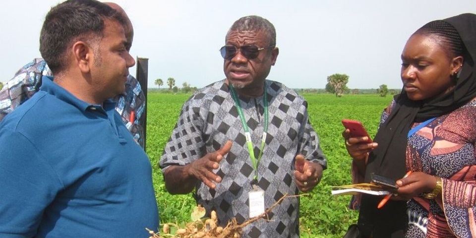 Professor Rajeev Varshney, a male of Indian origin, speaks with researchers, an African woman and two African men, in a field growing grain.