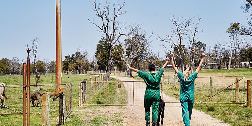 Two Murdoch Veterinary students walk down a path at a farm.