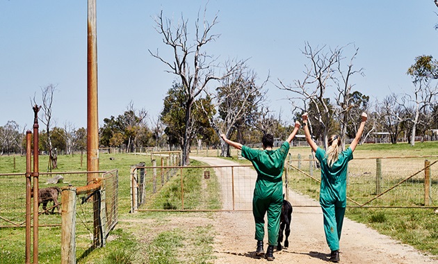 Two Murdoch Veterinary students walk down a path at a farm.