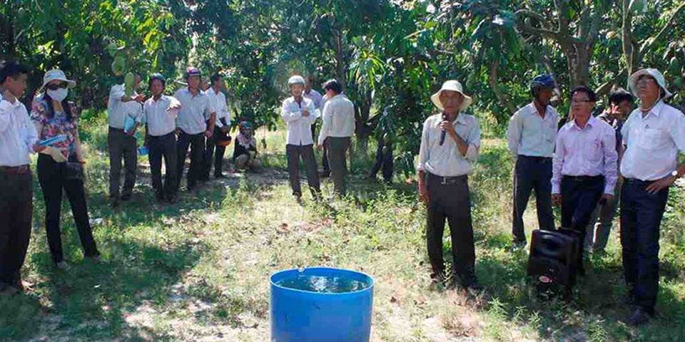 Vietnamese farmers feature