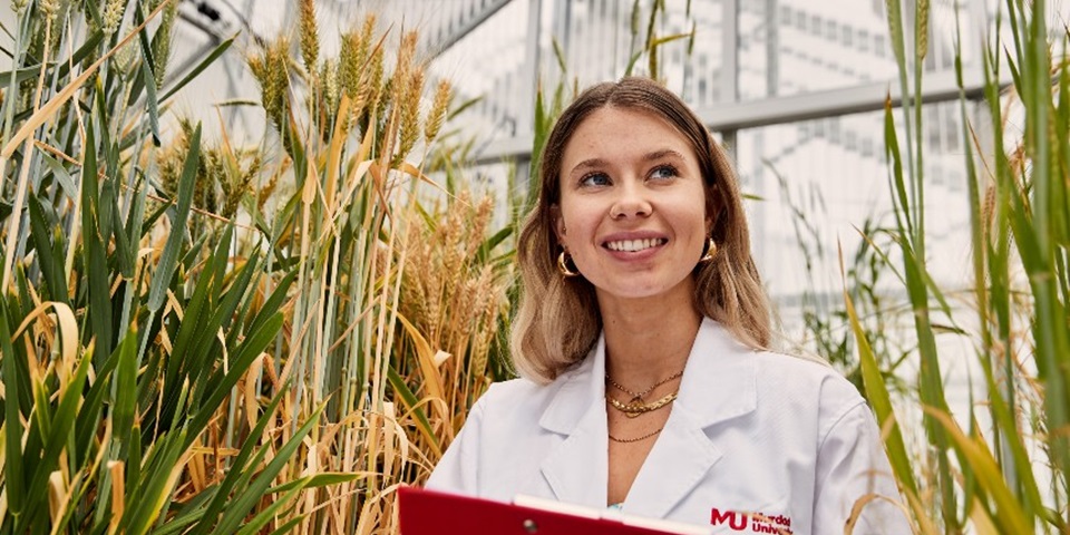 Murdoch student standing among crops